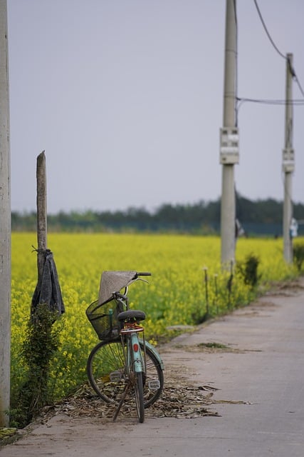 雨歇乡野小路：玻璃雨痕与车辙线条的光斑反光