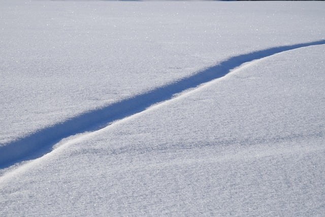 雪野冬田间的霜痕爪印：蹲守半刻才撞见的细微生机