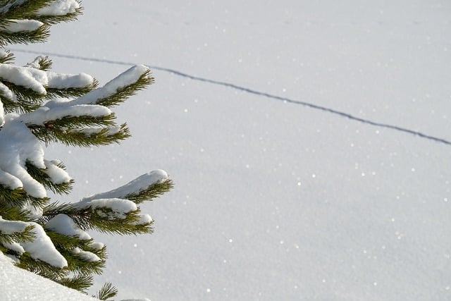 雪落街头的偶然一瞥：老巷檐下的炭炉与烤红薯香