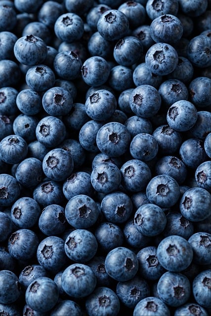 摊开带霜的蓝浆果时，后来想起年少山坳里的野果午后