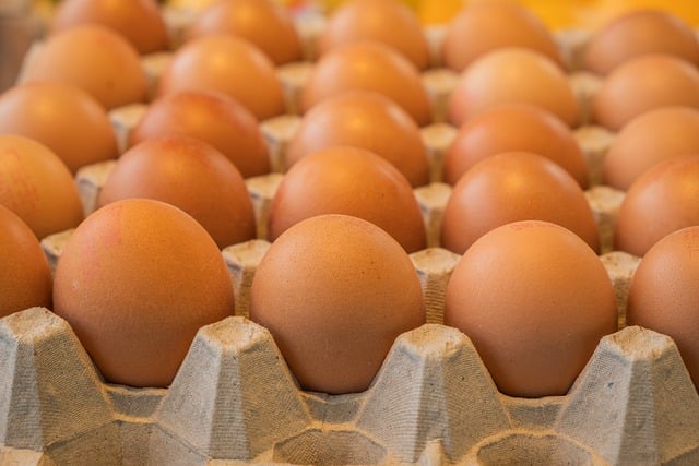 刚在农家院理好蛋纸箱 按下快门拍下这堆新鲜的棕壳鸡蛋