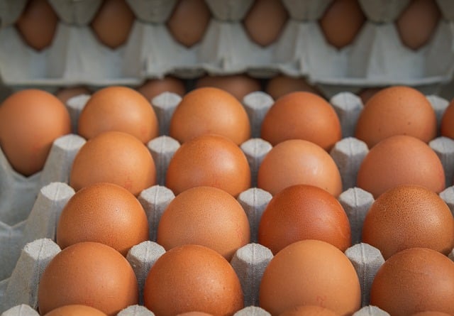 窗沿雨痕里的棕鸡蛋与玻璃幕墙的反光线条