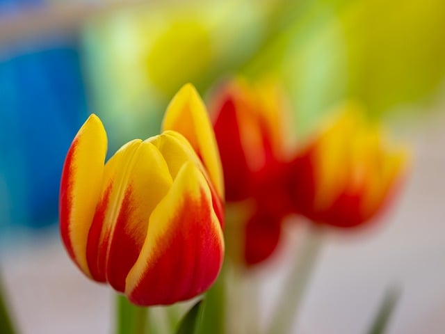 教堂祭坛的彩花束 牵起复活节的轻暖与三餐烟火