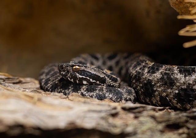 雨后海滨滩涂的光影：城市玻璃与野生蛇行的线条交织