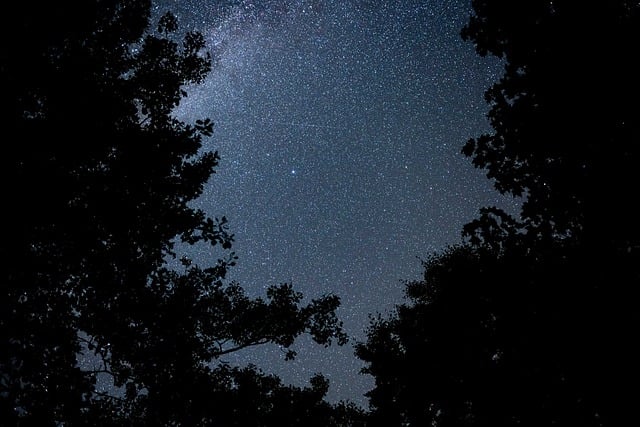 刚按下最后一张快门 这晚的银河漫过了山边的林梢
