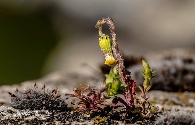 临街老窗凝着雨痕，墙缝苔藓浸着细碎天光
