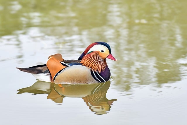 塘面碎光里的线条与倒影 藏着比玻璃幕墙更软的光影