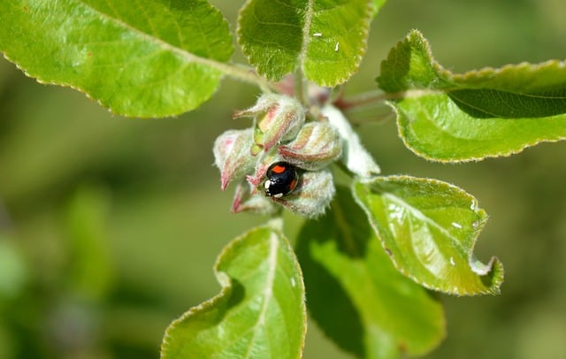 写字楼窗玻璃的雨痕与反光：藏着春日瓢虫的城市光影