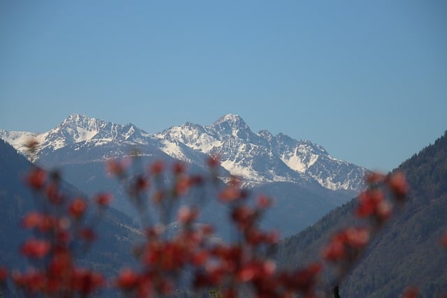 致约好共赴秋山徒步的老友：捎去这山巅的晴空红叶