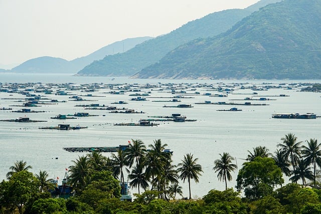 越南头顿湾晴日漫景：将渔耕风物嵌进夏秋海滨的寻常晨昏