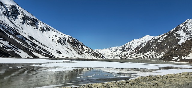 蹲守雪后湖冰缝隙 捕捉冬日山野的微末生命瞬间