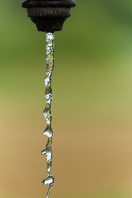 刚按下快门定格的那刻 凝住的水珠衬着满屏鲜活绿意