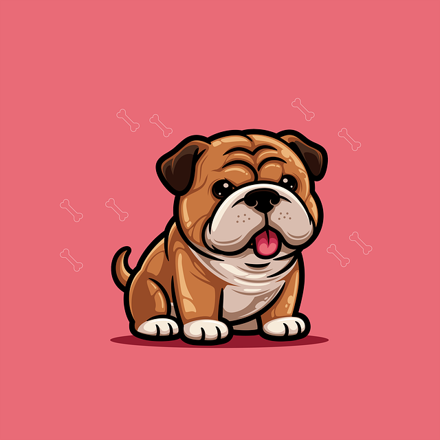 入伏晴日里的卡通斗牛犬 衬得三餐都带着软乎乎的甜