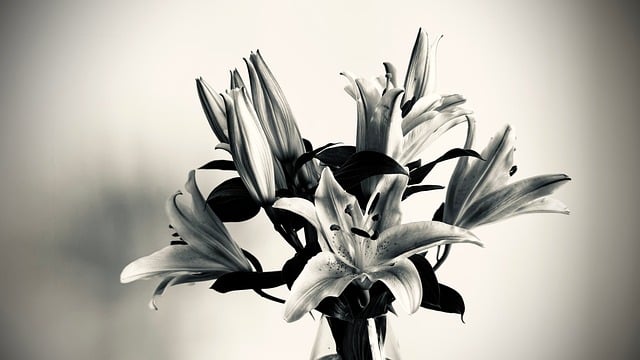 这组冷调复古黑白百合花艺,藏着鲜切花养护的小细节
