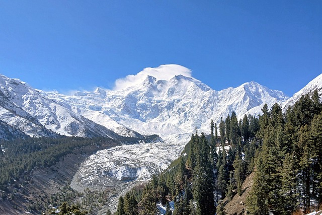 吉尔吉特山路驻足：偶然撞见的雪岭林莽清晨全景