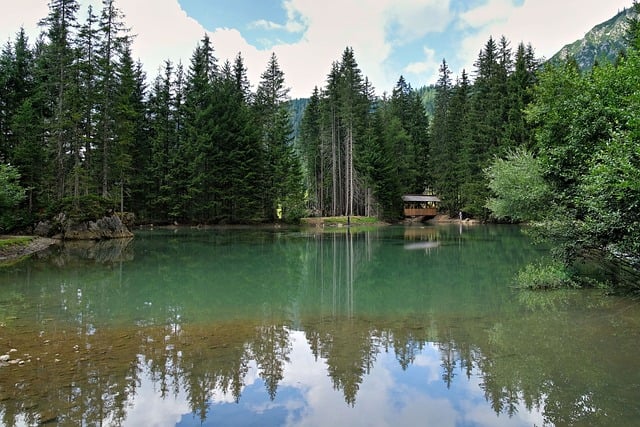 很久以前跟着家人去山边湖边木屋度假，后来想起满是松针与湖水的清宁