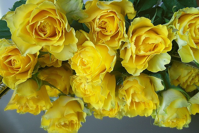 民宿梳妆台上的黄玫瑰：接住镜中漏下的浅淡午后柔光