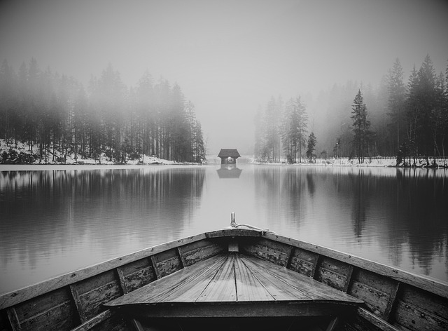 冬雾漫过雪覆湖林岸 把寒日闲趣揉进三餐烟火