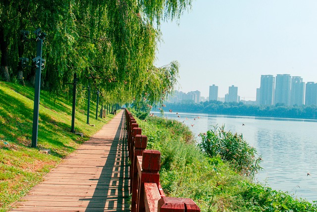 沈水湾滨江步道的旧痕：江风磨过的岁月剪影