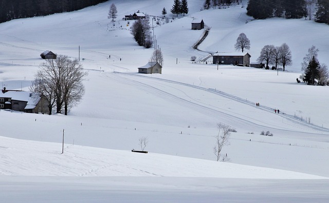 寄给南方友人的信：黑森林山坳的雪村，连风都慢了下来