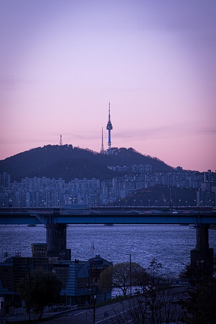 站在首尔南山的夜色里，想起很久以前的那场夏夜同行