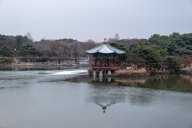 致旧友：雪落韩村河畔观景台的冬日闲居小记