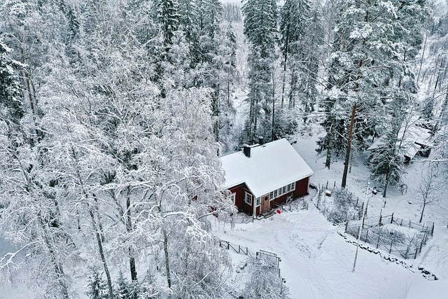 雪后乡野林间的小屋檐下，我停驻在霜色里的半小时