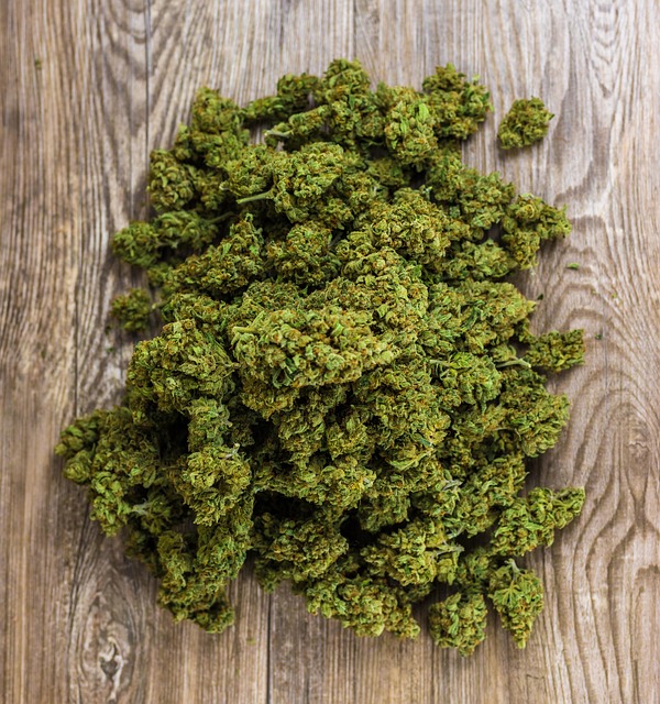 瑞士街角的偶然一瞥：鲜切花与药用草本的午后瞬间