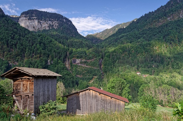 秋阳漫洒萨瓦山谷林间 原木小屋的山野三餐时刻