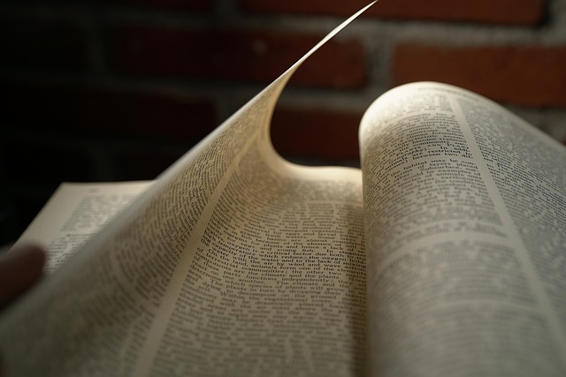 图书馆窗边书桌：静展的书页与沉潜的阅读日常