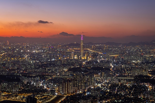 夜探首尔南山塔下：微距镜头下的夜行微小生命