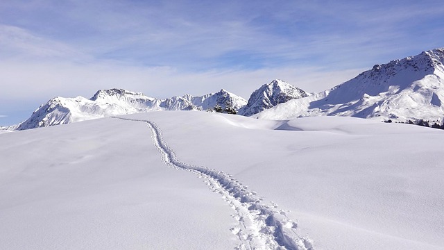 深冬山径闲行：把檐下热粥的念想揉进雪野清寂里
