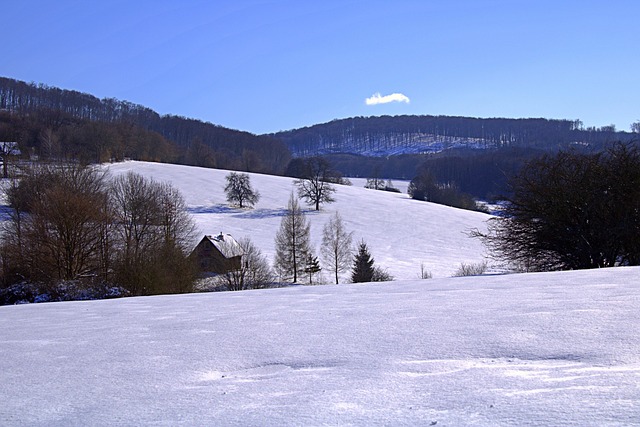 雪后林间小屋：霜色留白与暖棕木质的静物细描