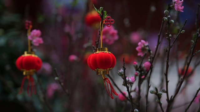 红灯笼映着桃花枝，年夜餐桌上的温热团圆时刻