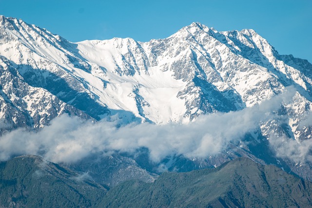 雪线边缘的微距时刻：捕捉高山微小生灵的细碎动静