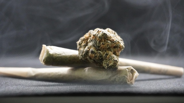 俯身在坡地枯草旁 看清草茎节部的细微凸起与轻颤
