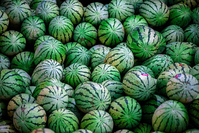 印花粗布上的瓜块 藏着很久以前的暑天细碎回忆