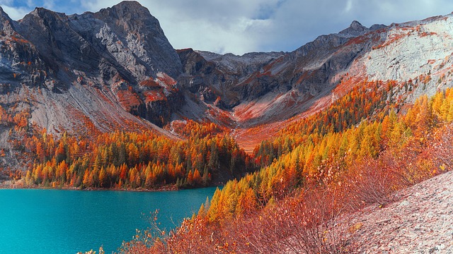 后来想起那年秋登瑞士山巅 湖畔彩林漫卷的徒步黄昏时光