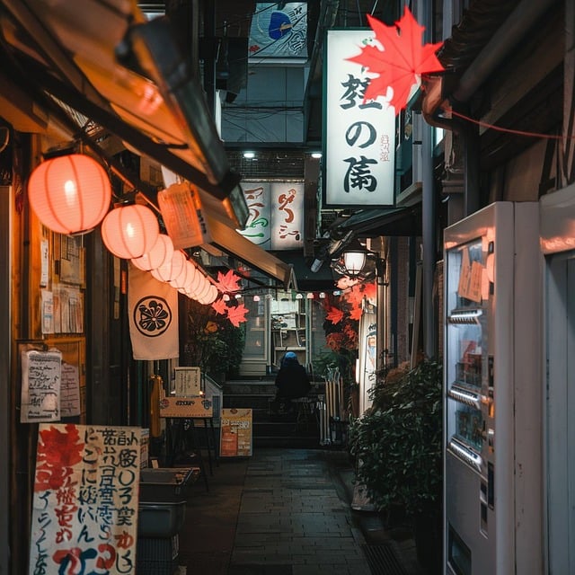 致许久未聚的老友：京都古巷的和纸灯笼与石板路随记