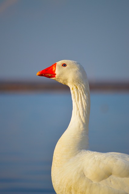 河畔落日下的家常小聚，烟火与野趣撞个满怀