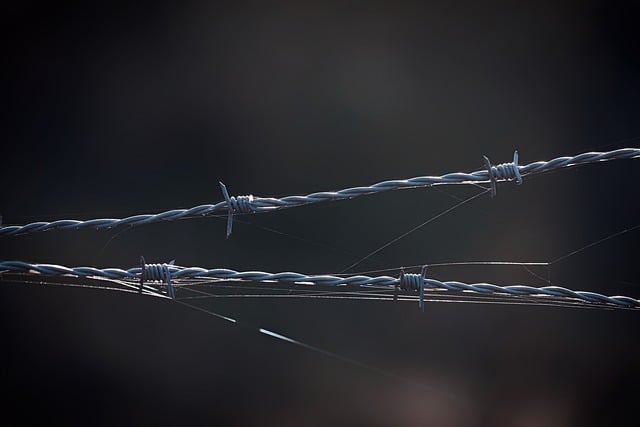 雨痕漫过带刺铁栏：玻璃反光里的城市冷硬线条