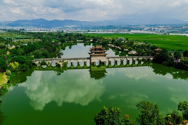 盛夏湿地漫行：倚木桥看船影晃过水面的闲游午后