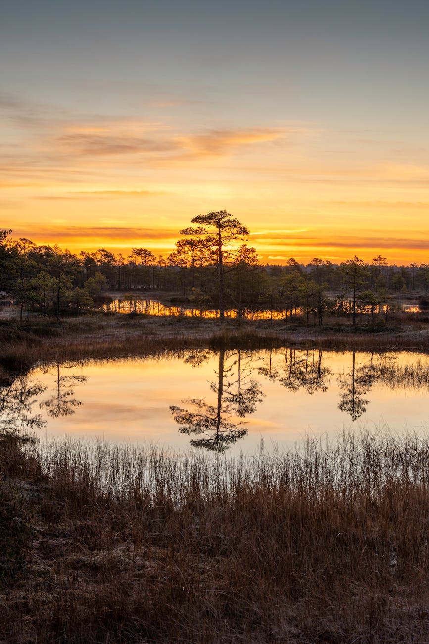 (在哪里找)24小时1元1分上下分红中麻将群跑的快群夕照湖影