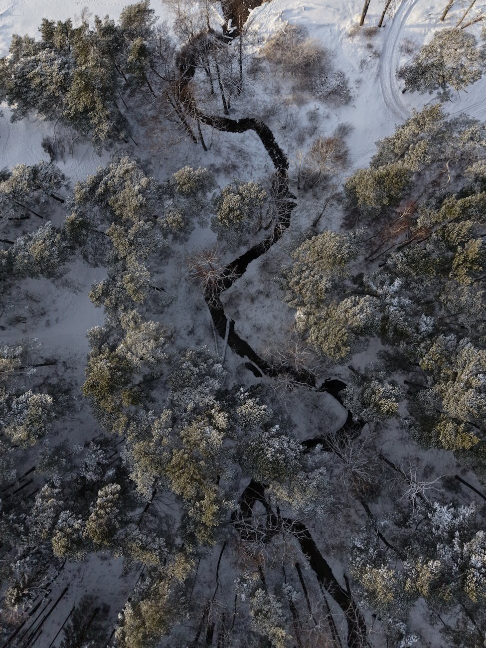 （最好的）红中麻将24小时一元一分广东上下分红中麻将群跑的快群雪林曲河