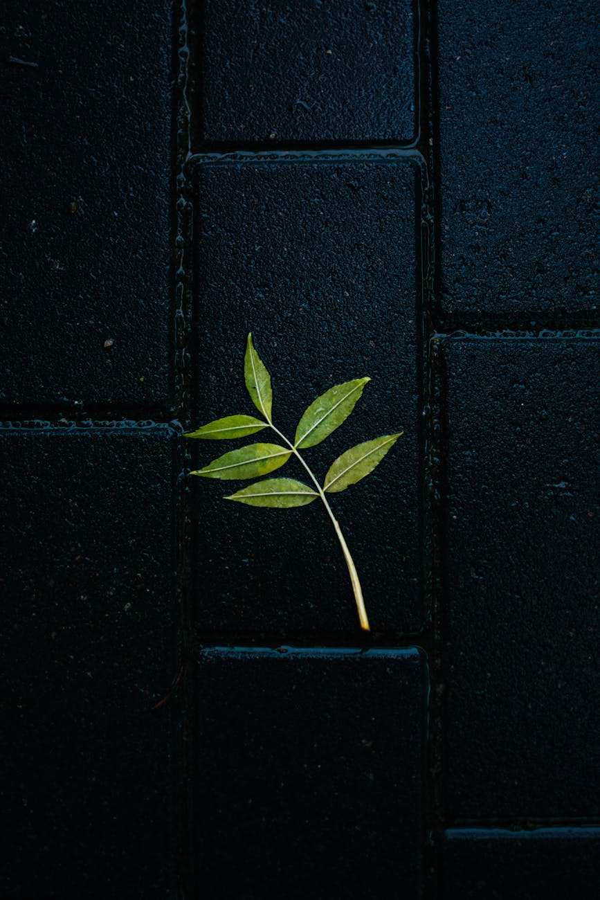 （好玩的）如何加入1元1分上下分红中麻将群跑的快群暗砖青叶